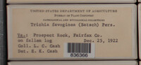 Image Associated With the Occurence
